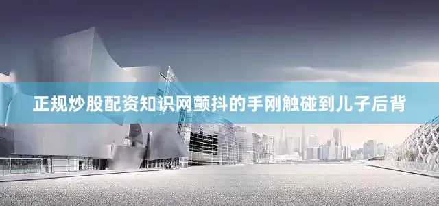 正规炒股配资知识网颤抖的手刚触碰到儿子后背