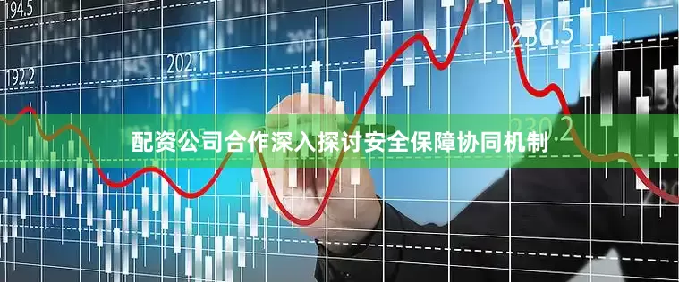 配资公司合作深入探讨安全保障协同机制