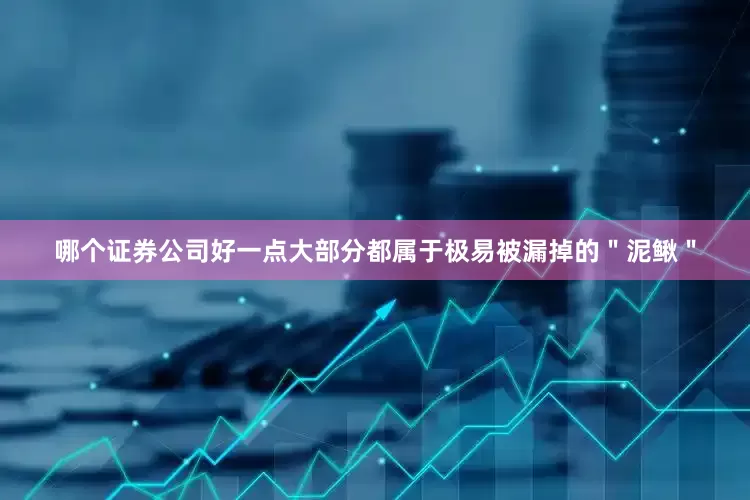 哪个证券公司好一点大部分都属于极易被漏掉的＂泥鳅＂