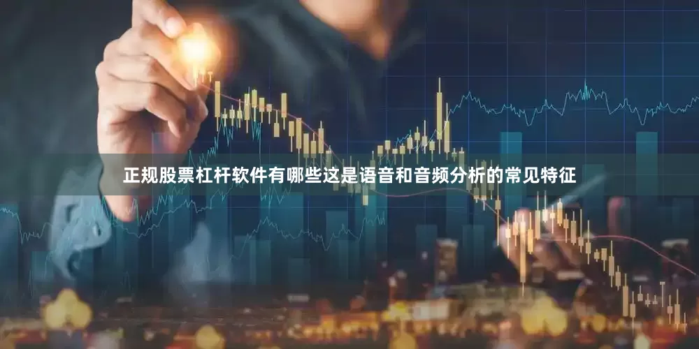 正规股票杠杆软件有哪些这是语音和音频分析的常见特征